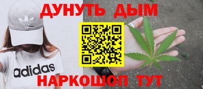прущие грибы Михайловка