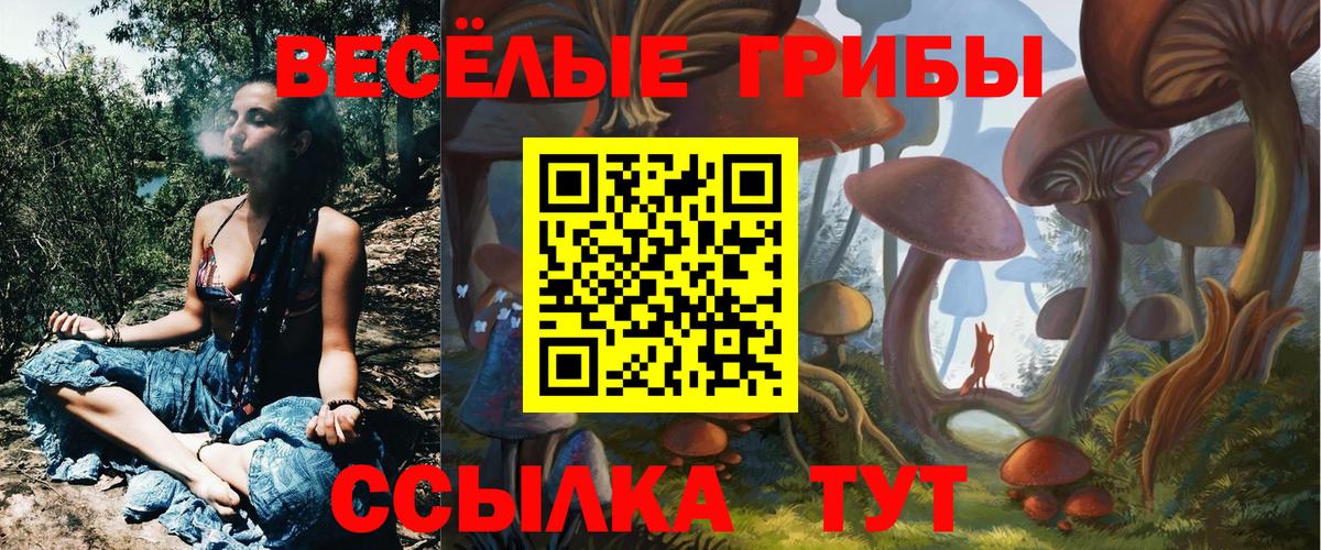 Псилоцибиновые грибы прущие грибы Воскресенск